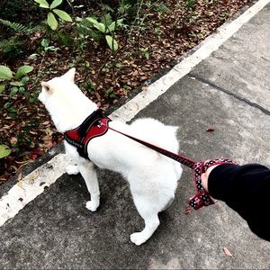 Meet your Posher, Yin